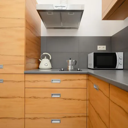 Spacious Studio Muranow & Parking By Renters *
