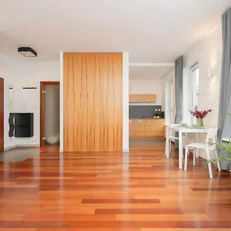 Spacious Studio Muranow & Parking By Renters